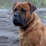 Viggo - 33 Months