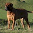 Viggo - 03.5 Years