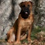 Viggo - 04.5 Years