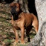 Viggo - 04.5 Years