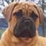 Yaana - 12 Weeks