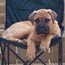 Yaana - 15 Weeks