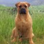 Yaana - 06 Months