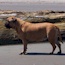 Yaana - 03.5 Years