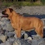Yaana - 04.5 Years