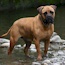 Yaana - 05.5 Years